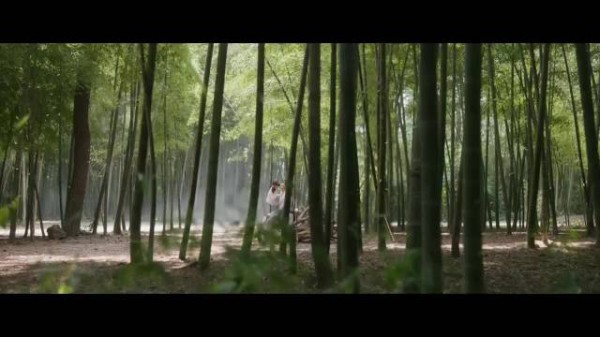 成毅《莲花楼》演绎李相夷竹林醉酒剑舞