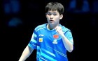 樊振东3-0林诗栋，孙颖莎逆转平野美宇