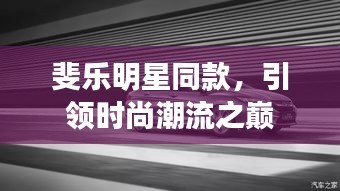 斐乐明星同款，引领时尚潮流之巅