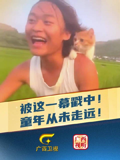 他带猫看的不是稻田，是我们的童年！