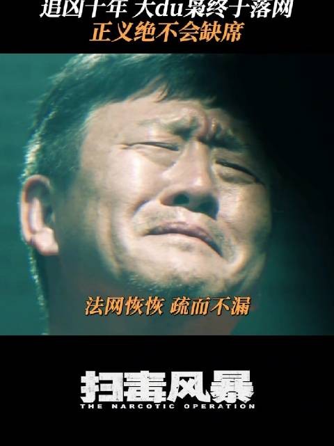 林强峰苦寻十年龙哥落网，段奕宏刘欢侯岩松参演扫毒风暴