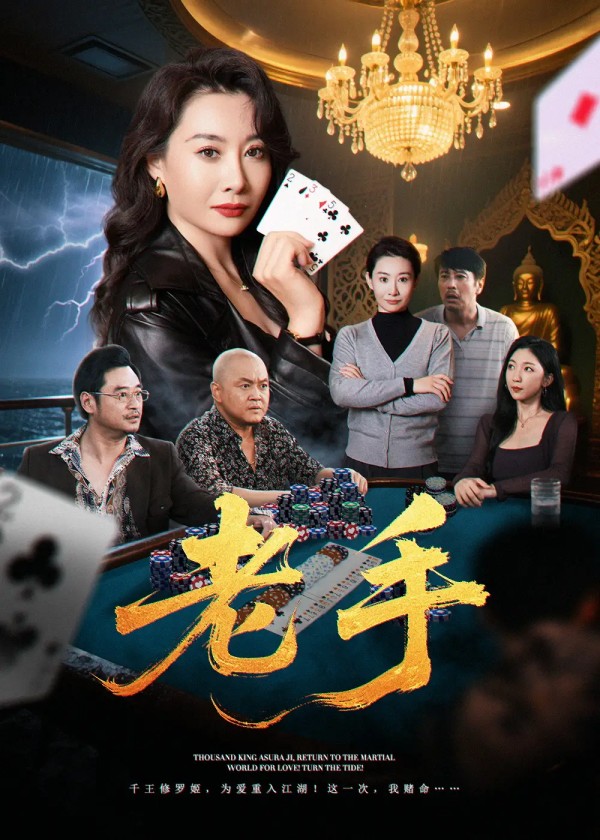 老手（36集）王圻嘉&袁珉剧情人物介绍