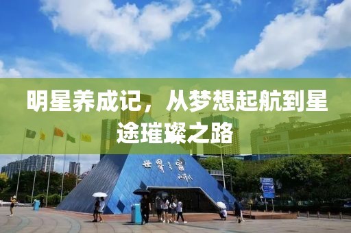 明星养成记，从梦想起航到星途璀璨之路