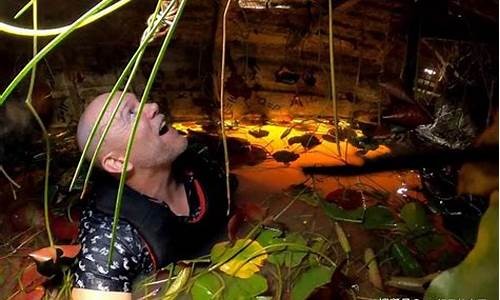 体育明星在娱乐节目中的性格魅力展现