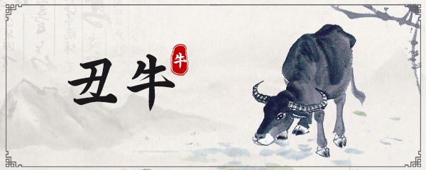 生肖牛10月2024年运势 2024年10月属牛人运势及运程