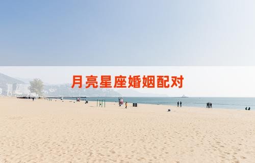 月亮星座婚姻配对