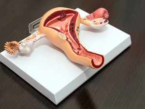 疾病导读：郑州哪里医院看卵巢早衰“健康知识”郑州卵巢早衰看哪个科室