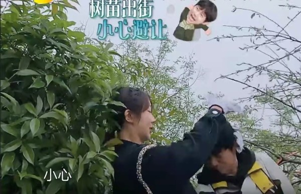 “人来疯”的杨紫多讨喜？不只有演技，还能靠综艺感吃饭