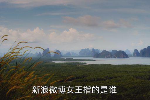 微博女王，新浪微博女王指的是谁