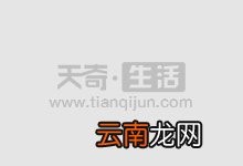 老版流星花园演员表 老版流星花园的主演有哪些