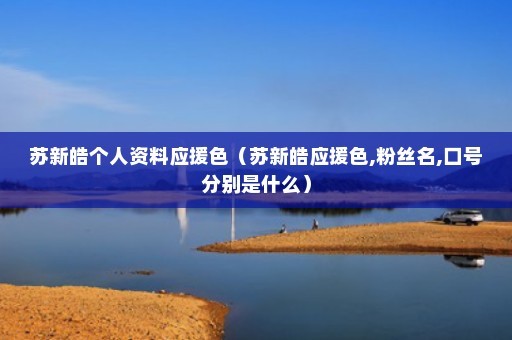 苏新皓个人资料应援色（苏新皓应援色,粉丝名,口号分别是什么）
