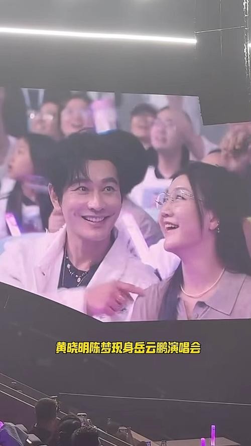陈梦黄晓明一起看岳云鹏演唱会
