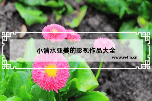 小清水亚美的影视作品大全
