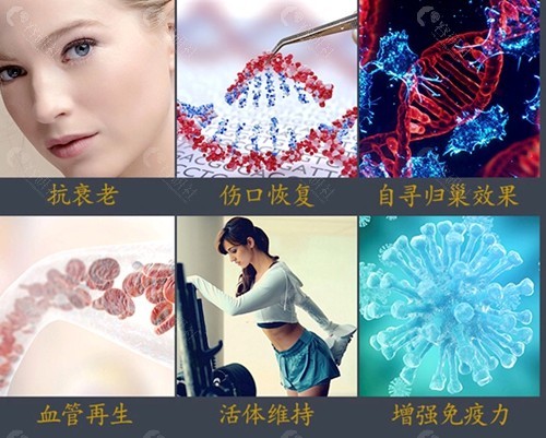 细胞在临床的应用