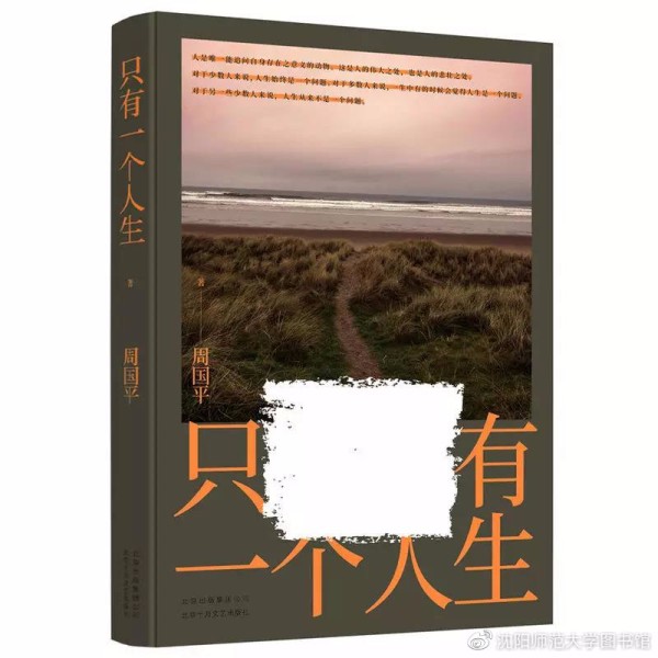 《只有一个人生》