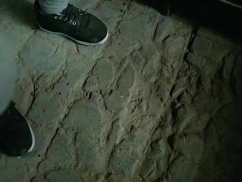 李云龙若退让恐失全团人心，张大彪首当其冲