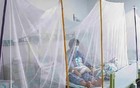 广东已报告4824例！这种退烧药不建议使用→