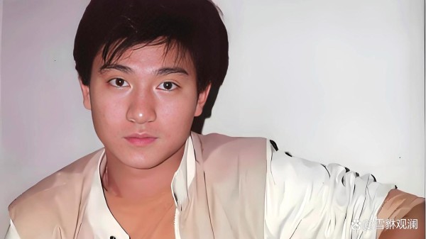 从“耍酷天王”到“复杂人性”：华仔如何用演技征服观众？