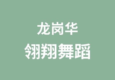 龙岗华翎翔舞蹈
