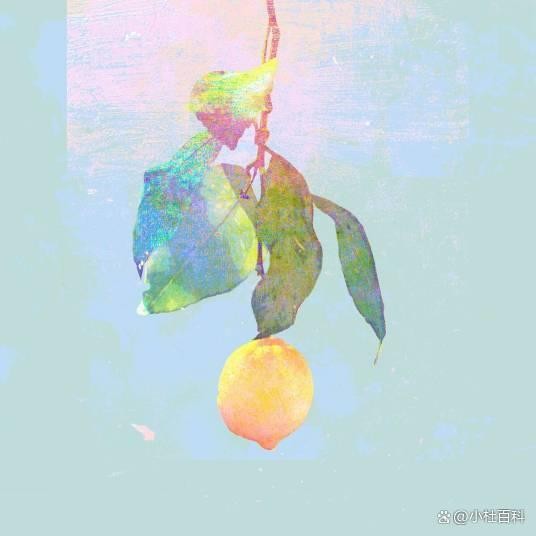 从神坛到争议：时代少年团改编《Lemon》中文版为何引发两极