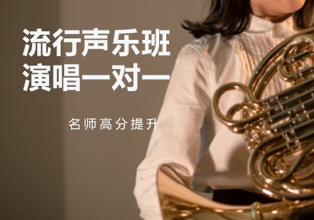 流行声乐演唱1对1培训