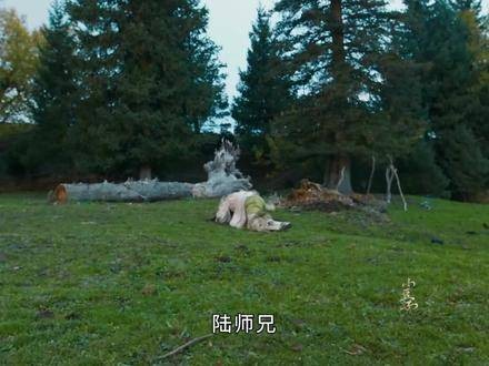“韩立踏入黄枫谷，正式踏上修仙旅程”