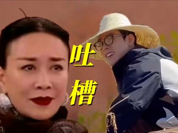 那英说龚俊经纪人够差劲的：坊间传闻探析与明星经纪人专业性解读