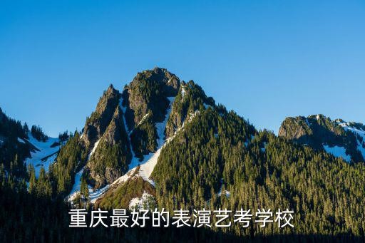 重庆最好的表演艺考学校