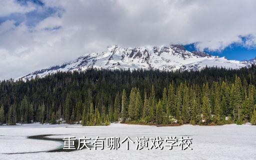 重庆有哪个演戏学校