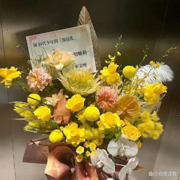 单依纯送花篮引爆热议：揭秘明星跨圈联动的流量密码