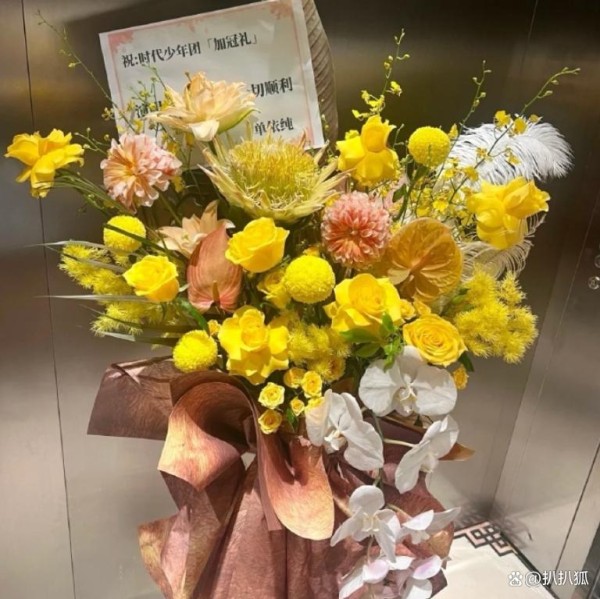 单依纯给时代少年团送花篮上热搜：娱乐圈的“塑料情”被它打破了？
