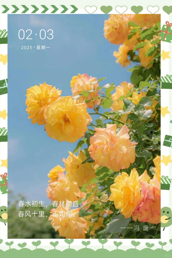大S：从华冈艺校到演艺界巨星的华丽转身