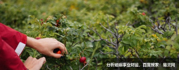 爱情运，有利恋爱的风水有哪些