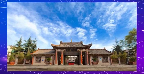 陈美伊：从艺考状元到荧屏新星的蜕变之路