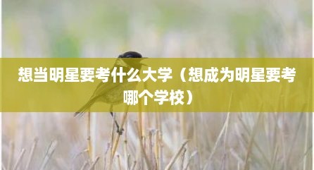 想当明星要考什么大学（想成为明星要考哪个学校）