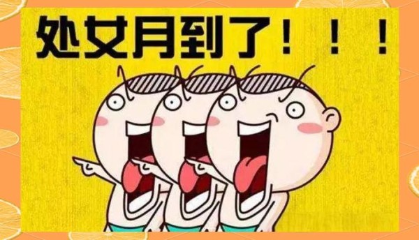 处女座的完美主义与他们在娱乐圈中的闪耀表现