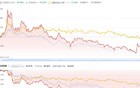 躲过这轮牛市的百亿私募：林园、李蓓……