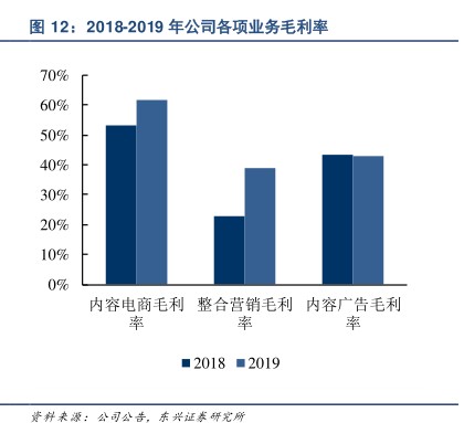 20182019年公司各项业务毛利率 - 2020年05月 - 行业研究数据