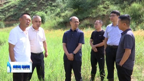 燕明星在柳林留誉镇 金家庄镇调研防汛安全工作