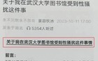 武大图书馆事件的真凶
