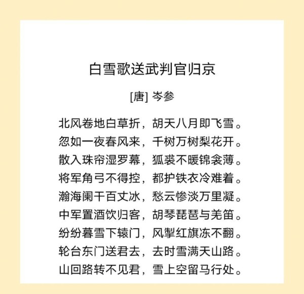 运营必备：高效数据可视化工具推荐