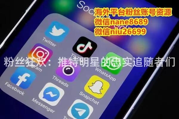 粉丝狂欢：推特明星的忠实追随者们