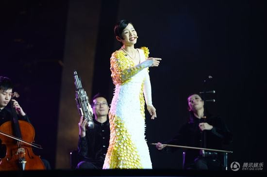 2013跨年晚会明星造型点评 那英青花瓷装惊艳龚丽娜获丑评