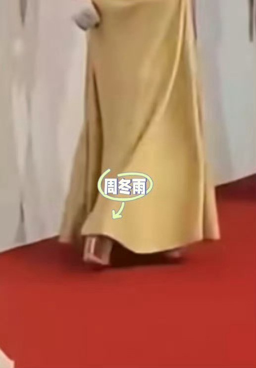 周冬雨刘诗诗娜扎鞋跟高度 女明星穿鞋自由引热议