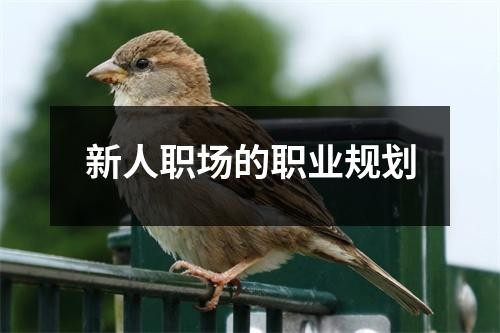 新人职场的职业规划（共7篇）