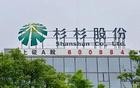 18万股民嗨了：杉杉股份，“起爆了”！
