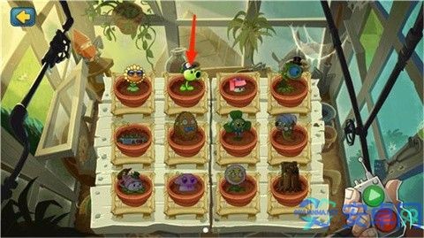植物大战僵尸全明星