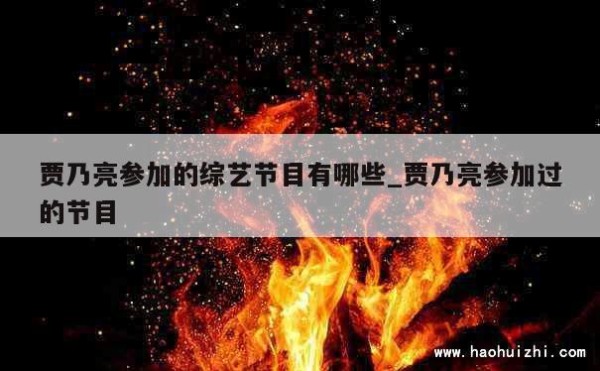 贾乃亮参加的综艺节目有哪些_贾乃亮参加过的节目 第1张