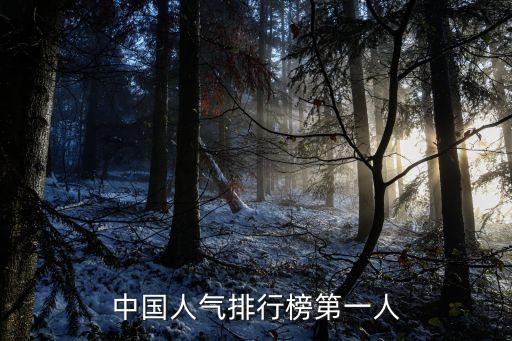 中国人气排行榜第一人