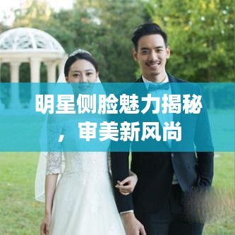 明星侧脸魅力揭秘，审美新风尚